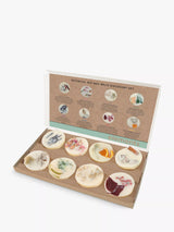 John Lewis Stoneglow Elements Wax Melts Pack of 8- Buy online at McGrocer