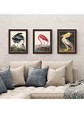 John Lewis Audubon birds framed print set 47x37cm - British product