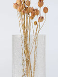 John Lewis clear crackle glass column vase 23.5cm, UK version