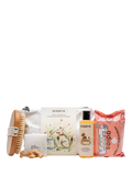 Bramley puppy starter kit with dog wash, brush, wipes, and treats - British product