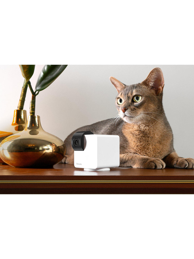 Petcube 360 white pet camera, UK version
