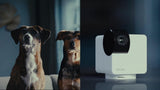 Petcube 360 white pet camera, UK version