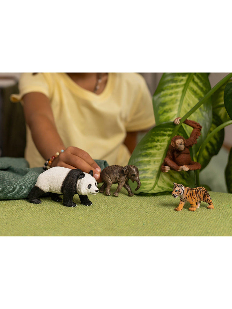 schleich Asia Wildlife Starter Set animal figures - British product