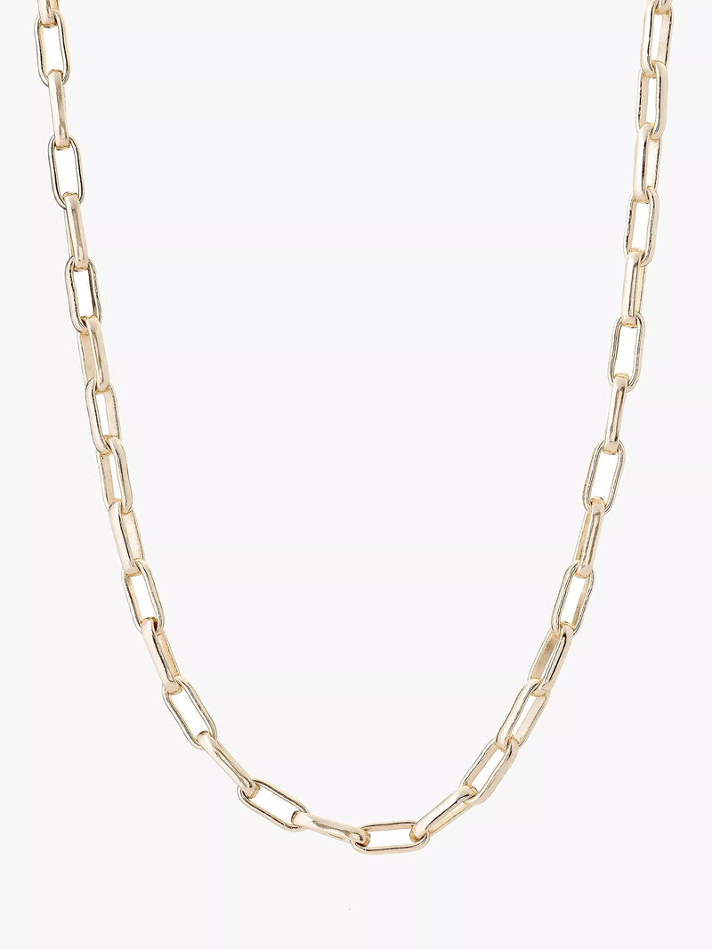Tutti Raise Link Chain Necklace, Gold