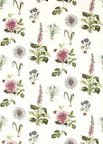 Clarke & Clarke Roseraie Summer made to measure curtains - British product