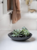Villeroy & Boch porcelain flat bowl set of 2, 23.5cm (British brand)