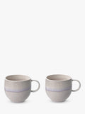 Porcelain Mug Set of 2 with Reactive Glaze, 290ml Capacity