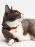 Mimi's Daughters cork cat collar Multi, UK version