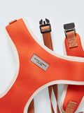 John Lewis adjustable no-pull dog harness in three sizes, UK version