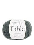 West Yorkshire Spinners Fable Aran Knitting Yarn, 100g, Titan