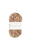 West Yorkshire Spinners sparkle 4 ply knitting yarn, 100g ball (British brand)