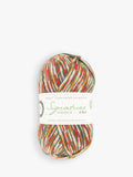 West Yorkshire Spinners sparkle 4 ply knitting yarn, 100g ball (British brand)