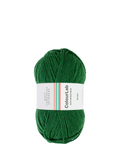 West Yorkshire Spinners ColourLab Aran Strickgarn 100g