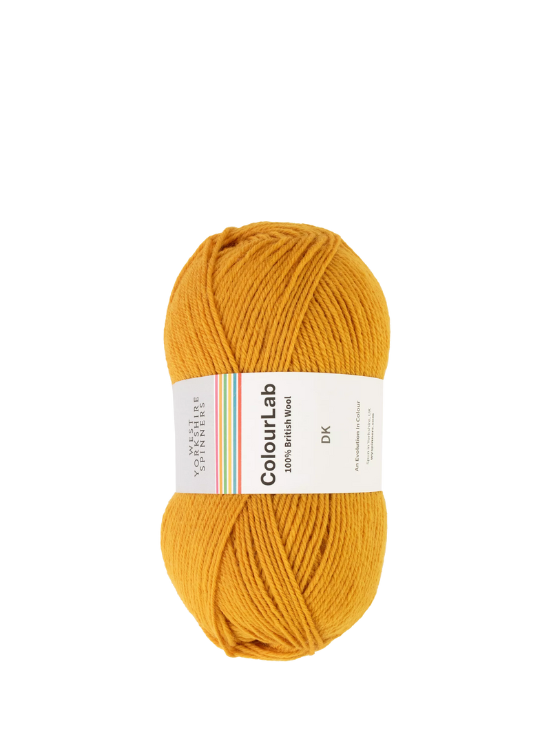 West Yorkshire Spinners ColourLab DK Knitting Yarn 100g