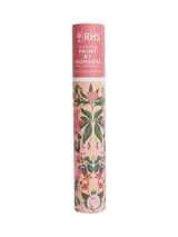 John Lewis RHS Kaleidoscope Paint By Numbers Kit- Buy online at McGrocer
