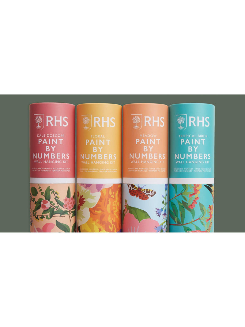 RHS paint by numbers kit floral kaleidoscope, UK version
