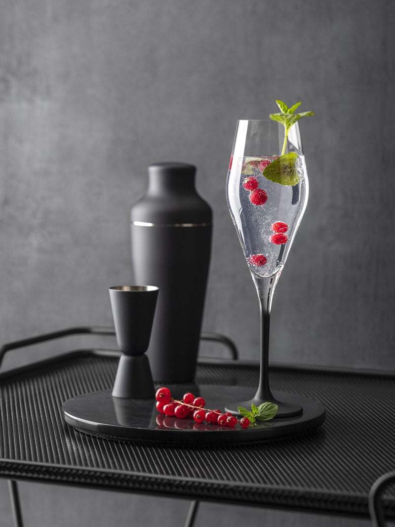 Villeroy & Boch champagne flutes 4 black stems imported from the UK