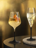 Villeroy & Boch champagne flutes 4 black stems imported from the UK