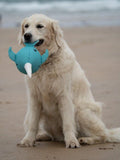 Petface Niya Narwhal plush dog toy, imported from the UK