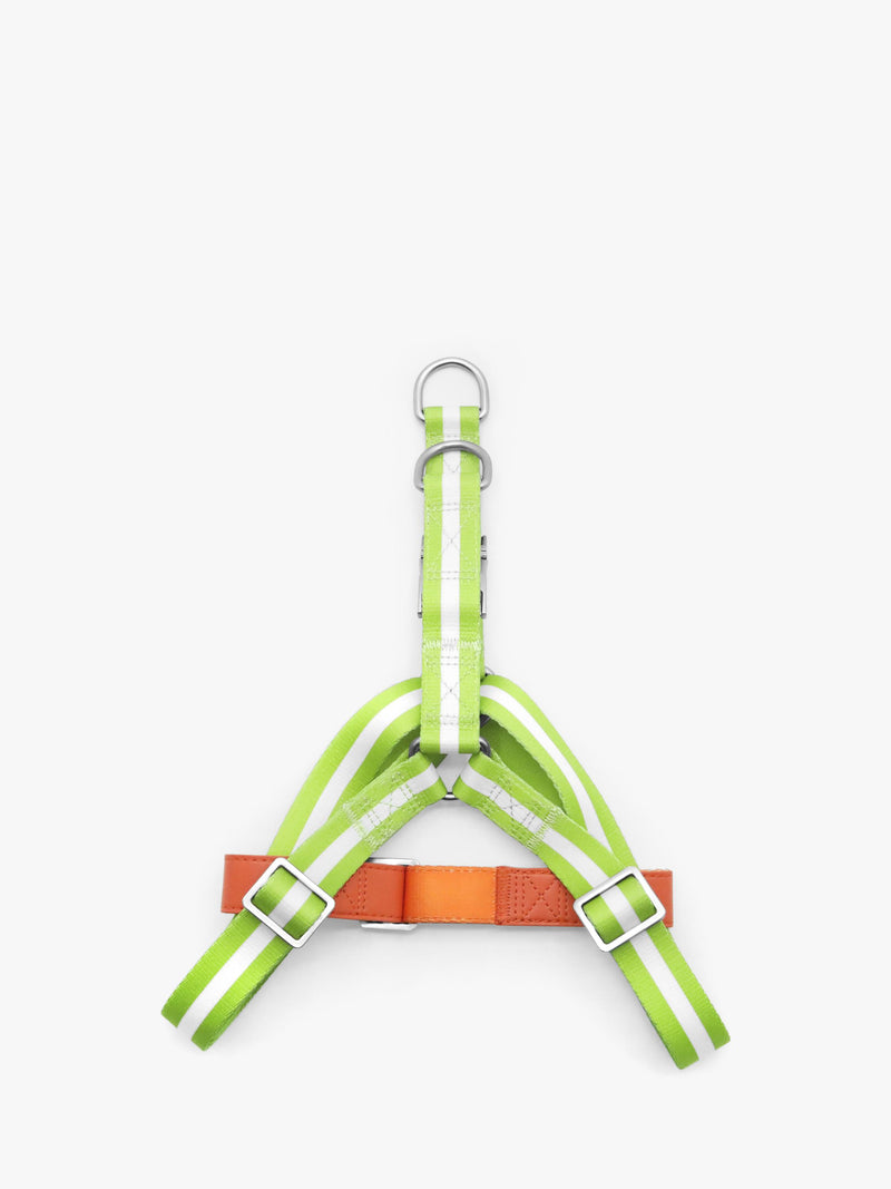 Florence By Mills AppleSkin Leather Dog Harness Green - British product