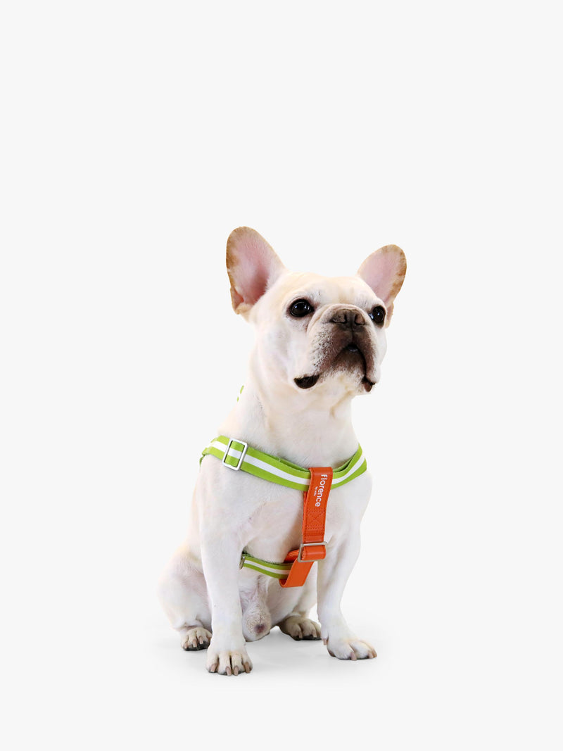 Florence By Mills AppleSkin Leather Dog Harness Green - British product