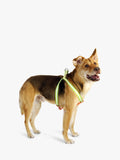Florence By Mills AppleSkin Leather Dog Harness Green - British product