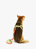 Florence By Mills AppleSkin Leather Dog Harness Green - British product