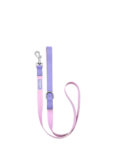Laisse pour chien Colour Block avec ruban en nylon et garniture en cuir de pomme, rose et violet