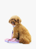 Florence by Mills colour block dog lead in pink and purple - British product