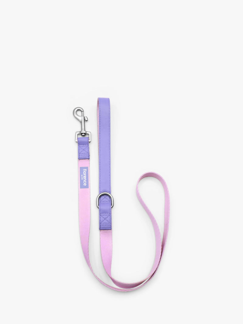 Florence by Mills colour block dog lead in pink and purple - British product