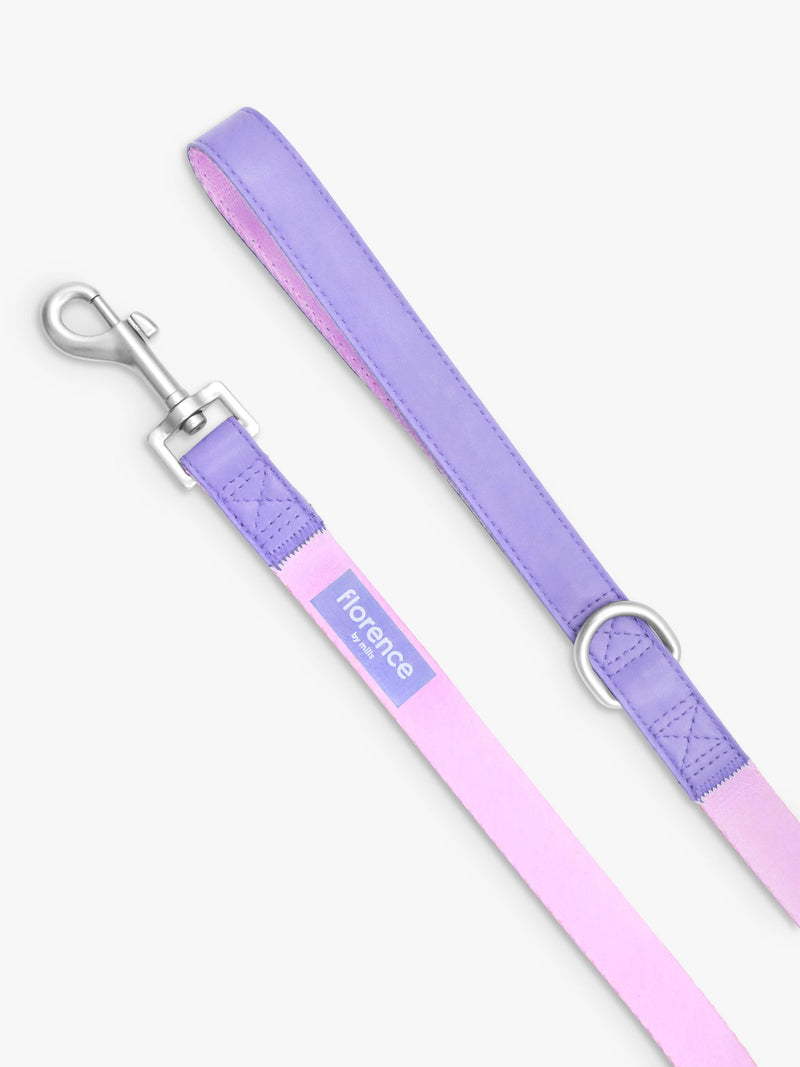 Florence by Mills colour block dog lead in pink and purple - British product