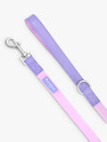 Florence by Mills colour block dog lead in pink and purple - British product