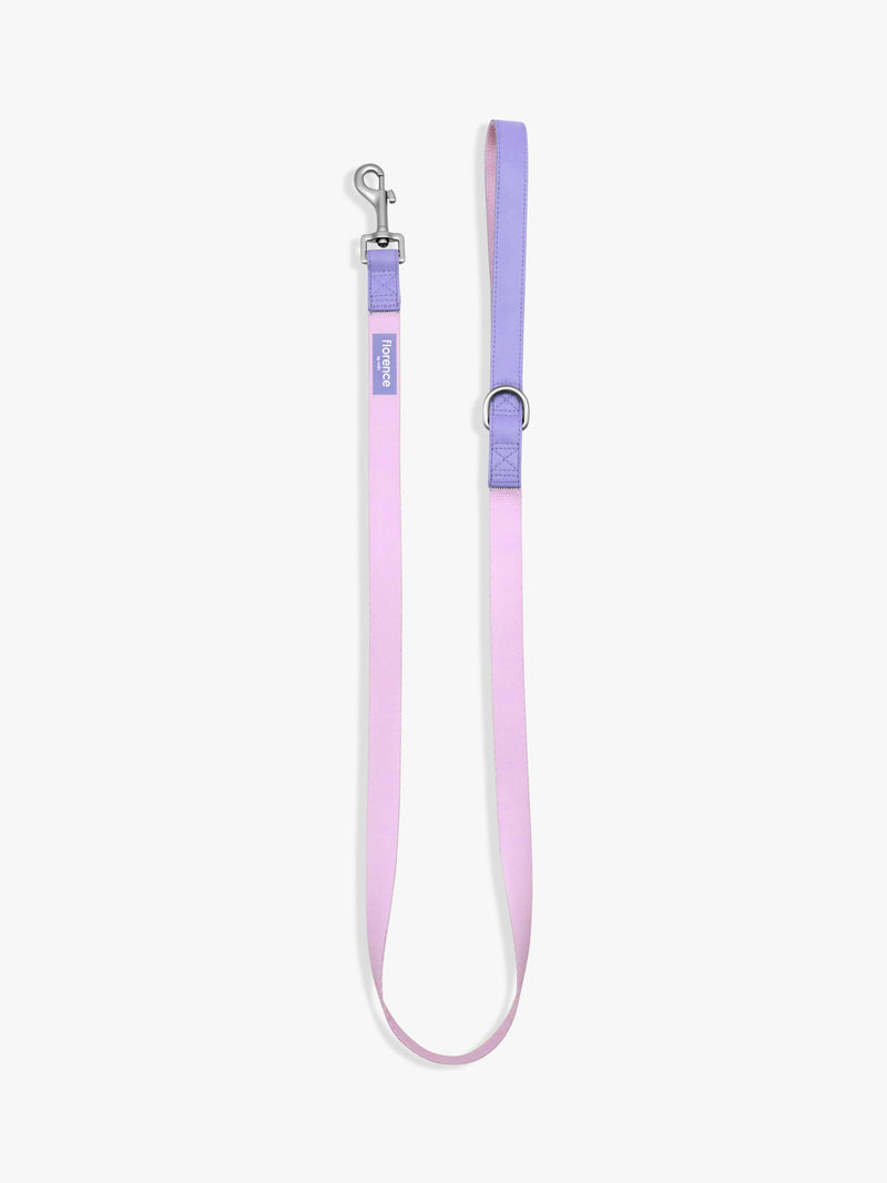Florence by Mills colour block dog lead in pink and purple - British product