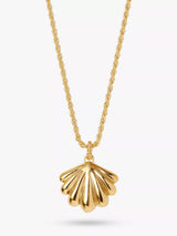 John Lewis Edge of Ember Summer Laguna Shell Locket Necklace, Gold- Buy online at McGrocer