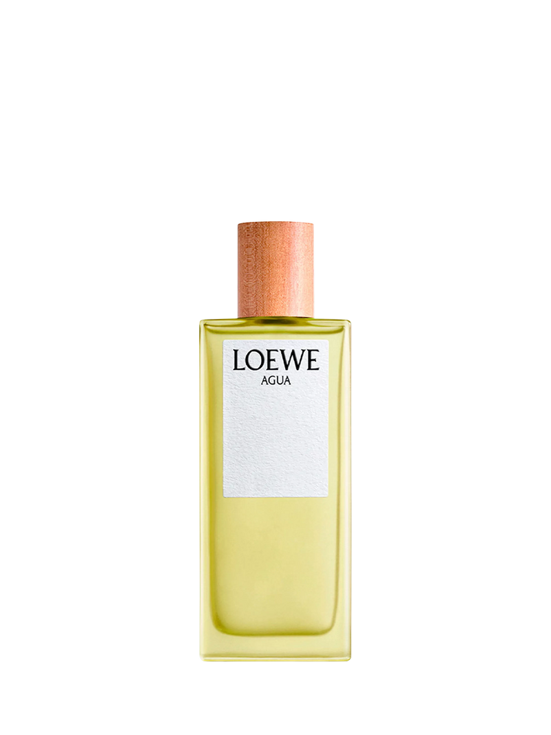 LOEWE Agua Eau de Toilette 100ml, UK version