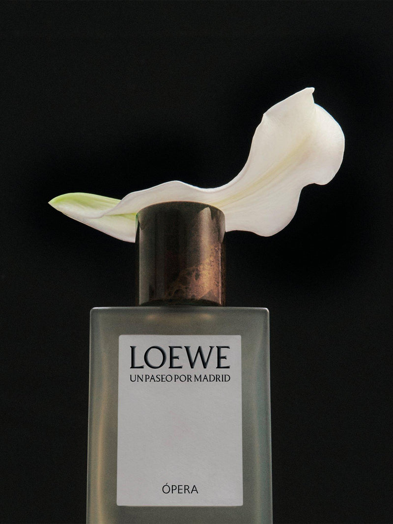 LOEWE Opera Eau de Parfum 100ml, imported from the UK
