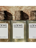 LOEWE Eau de Parfum Rosaleda 100ml - British product