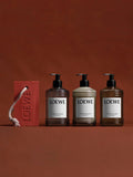 LOEWE tomato leaves hand cleanser 360ml, UK version