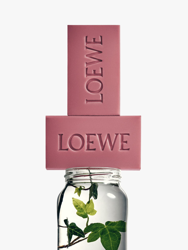 LOEWE Solid Soap Duo Set Ivy 250g - British product