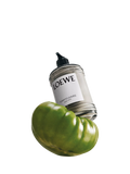 LOEWE Tomato Leaves body lotion 360ml bottle, UK version