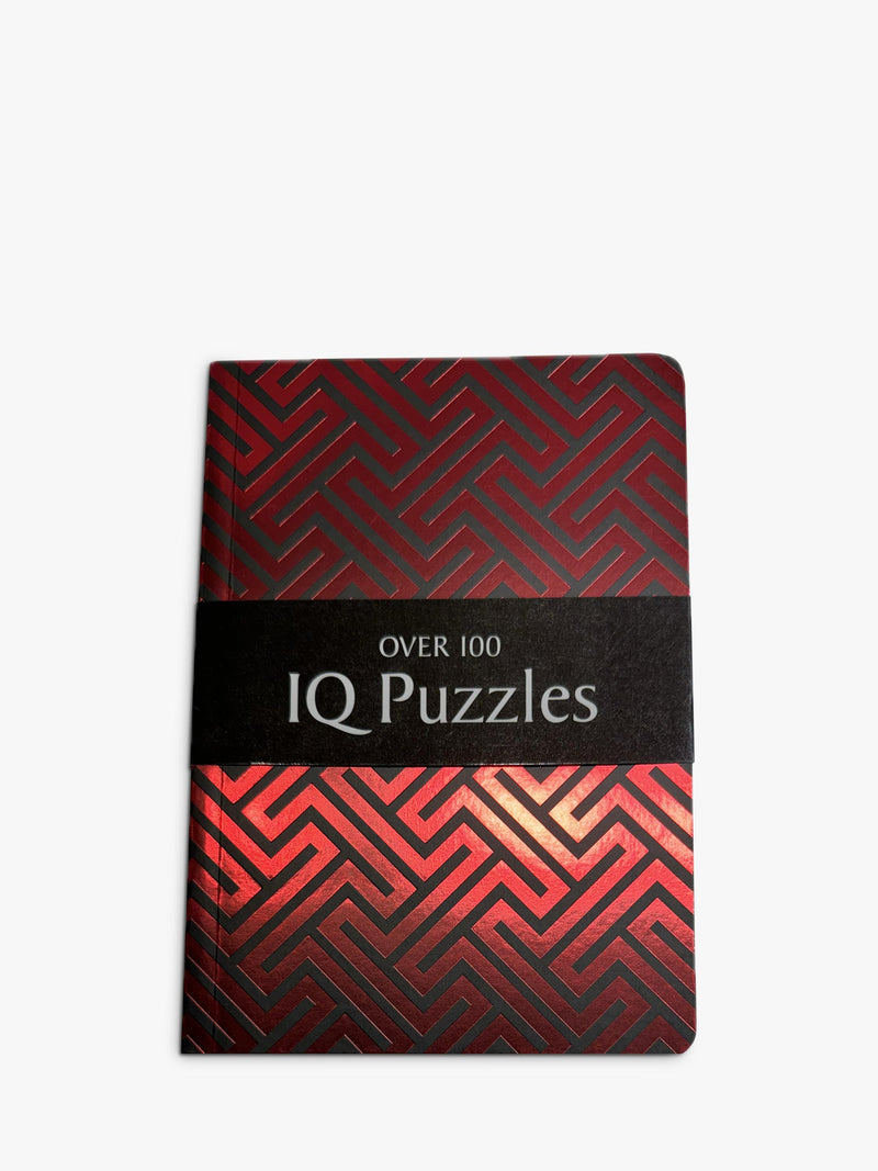 Geometric IQ Brain Training Puzzle Book