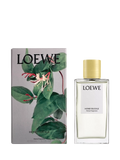 LOEWE Honeysuckle room spray 150ml, imported from the UK