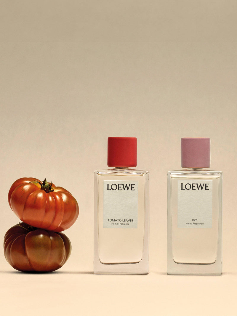 LOEWE Tomato Leaves home fragrance room spray 150ml, UK version