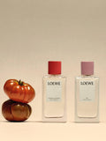 LOEWE Tomato Leaves home fragrance room spray 150ml, UK version