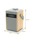 Roberts Rambler Midi DAB Bluetooth Digitalradio, importiert aus dem Vereinigten Königreich