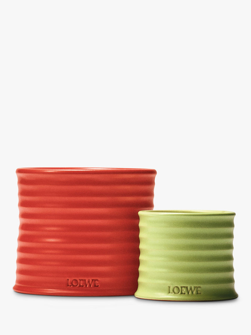 LOEWE Gurken-Duftkerze 2120g (Britische Marke)
