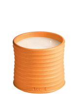 John Lewis LOEWE Orange Blossom Scented Candle- Buy online at McGrocer