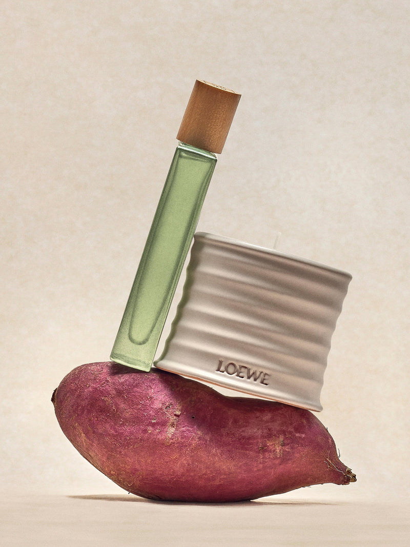LOEWE Oregano Duftkerze 2120g - Britisches Produkt