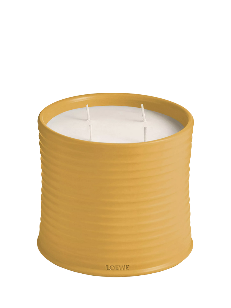 LOEWE wasabi scented candle in yellow-glazed terracotta, UK version