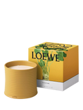 LOEWE wasabi scented candle in yellow-glazed terracotta, UK version